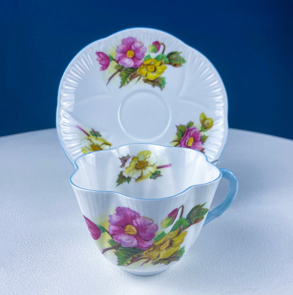 Antique Shelley Tea Cup & Saucer – Begonia Motif with Blue Handle