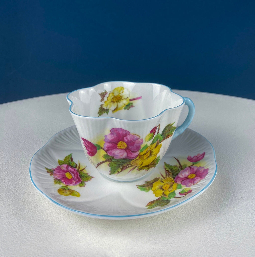 Antique Shelley Tea Cup & Saucer – Begonia Motif with Blue Handle