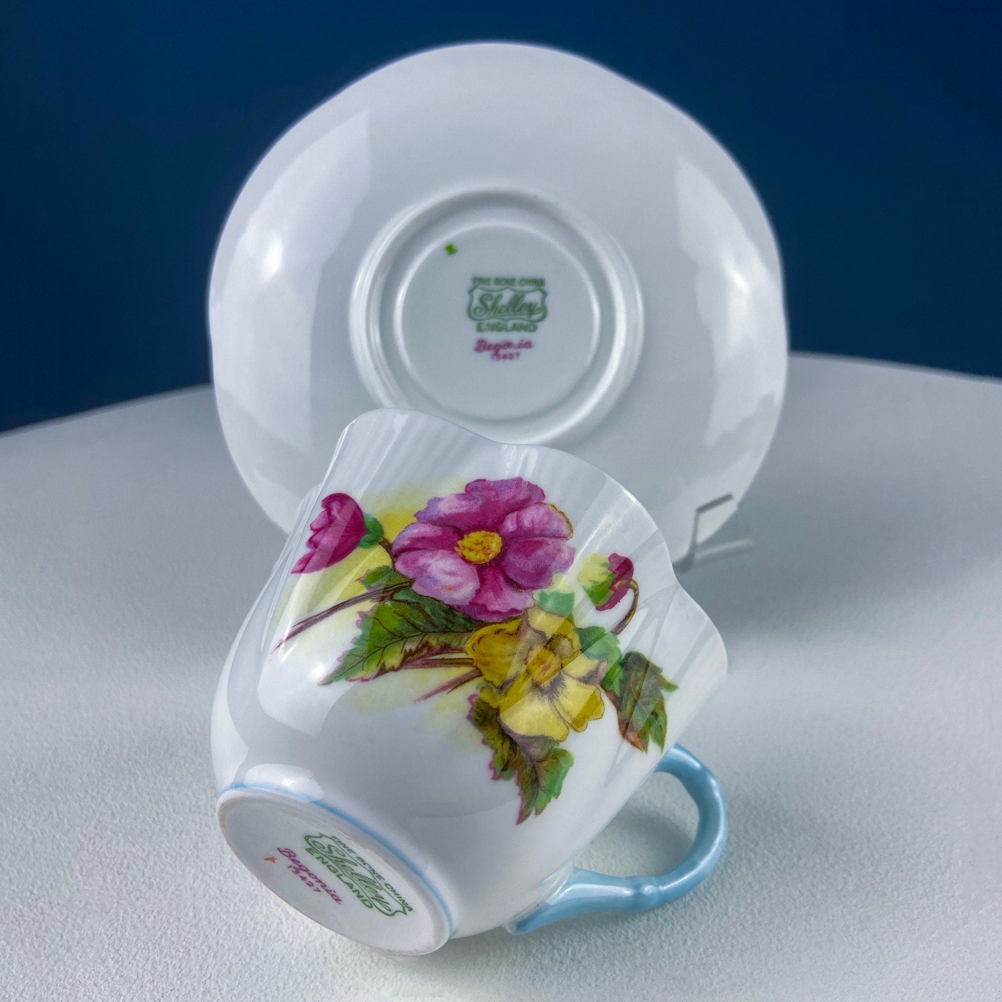 Antique Shelley Tea Cup & Saucer – Begonia Motif with Blue Handle