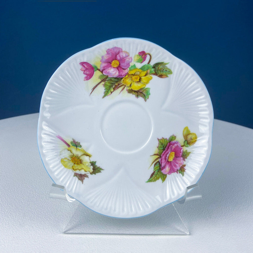 Antique Shelley Tea Cup & Saucer – Begonia Motif with Blue Handle