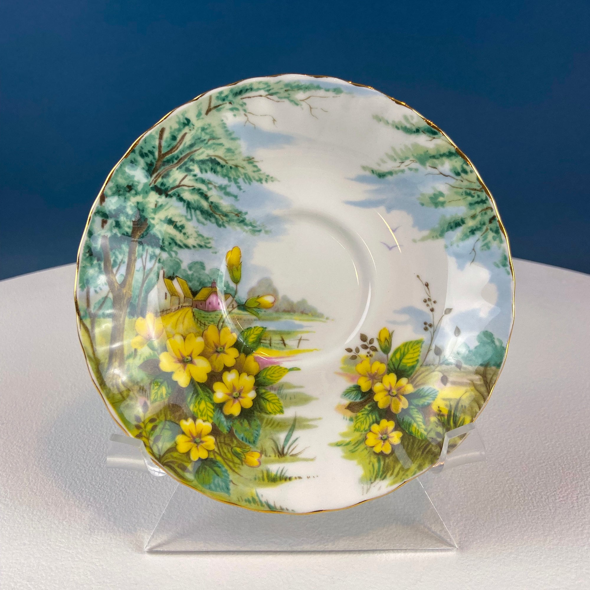 Royal Albert Cup and Saucer. Country Scenes. Primrose Hill. Vintage Tea Set. Fine Bone China. Tea Party. Dining Room Decor. Gift for Mom.