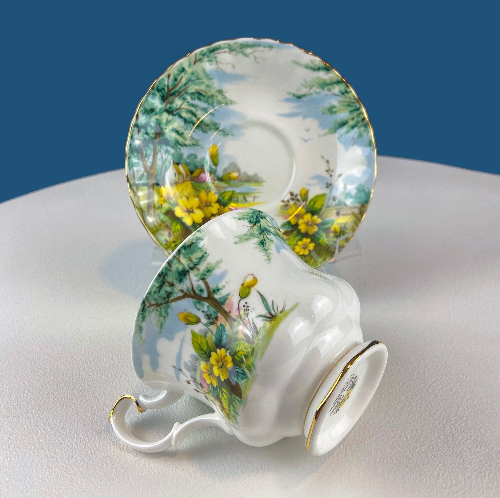 Royal Albert Cup and Saucer. Country Scenes. Primrose Hill. Vintage Tea Set. Fine Bone China. Tea Party. Dining Room Decor. Gift for Mom.