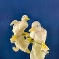 Porcelain Baby Ducks Parade by Dept. 56. Set of Two Ducklings Figurines. Cute Yellow Collectible Birds. Modern Farmhouse. Baby Shower Gift.