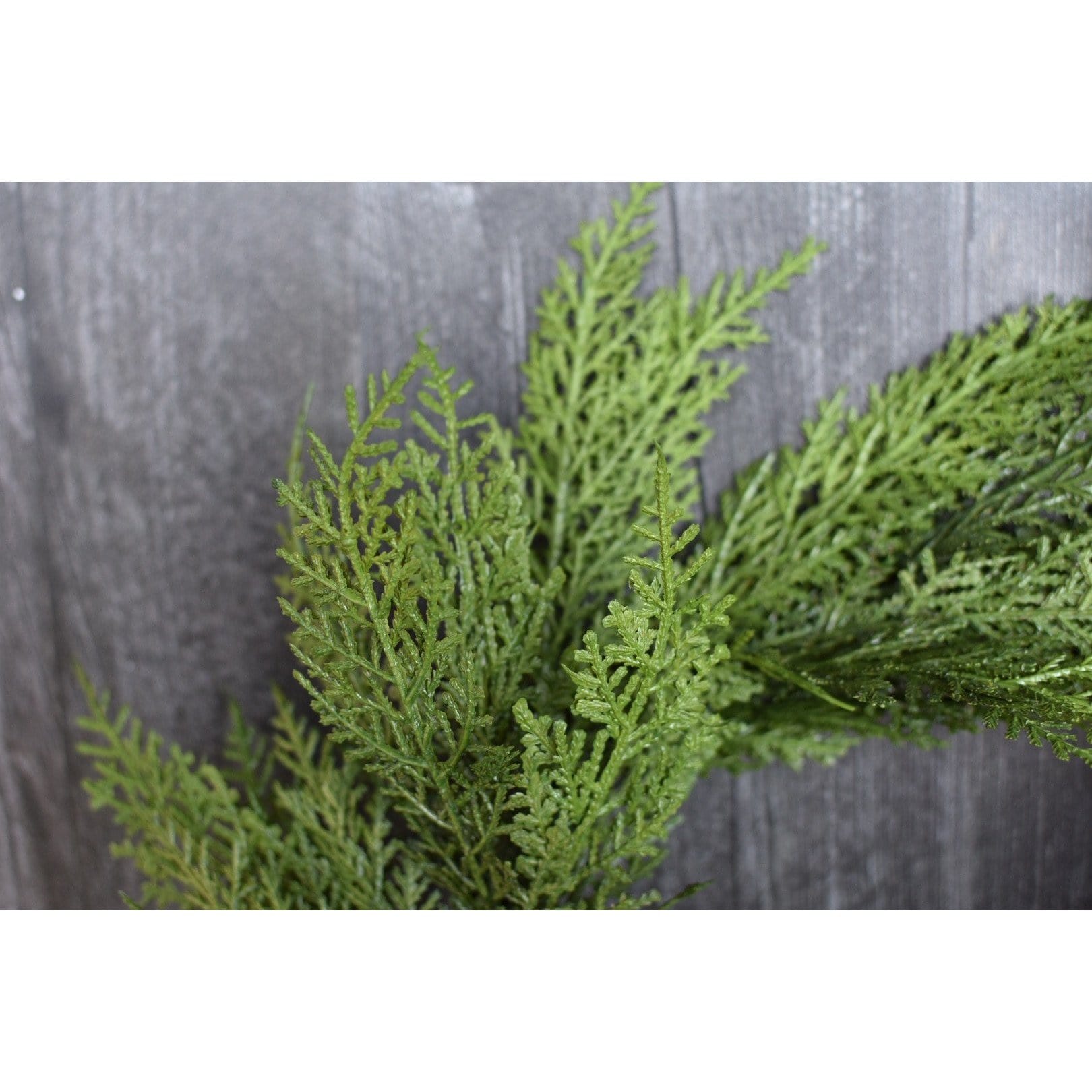 12" Faux Cedar Wreath