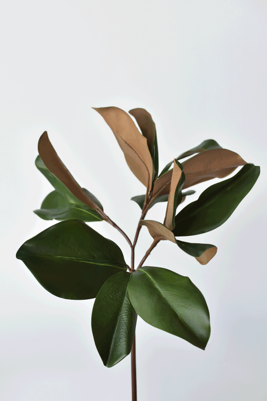 16.5" Faux Magnolia Leaf Stem