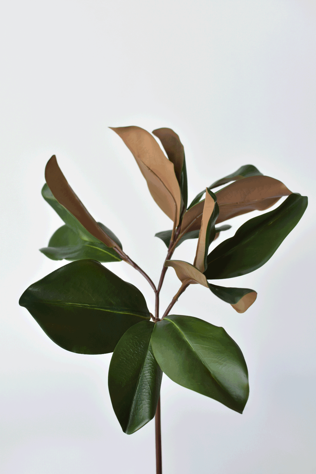 16.5" Faux Magnolia Leaf Stem