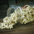 Faux Popcorn Garland Strand