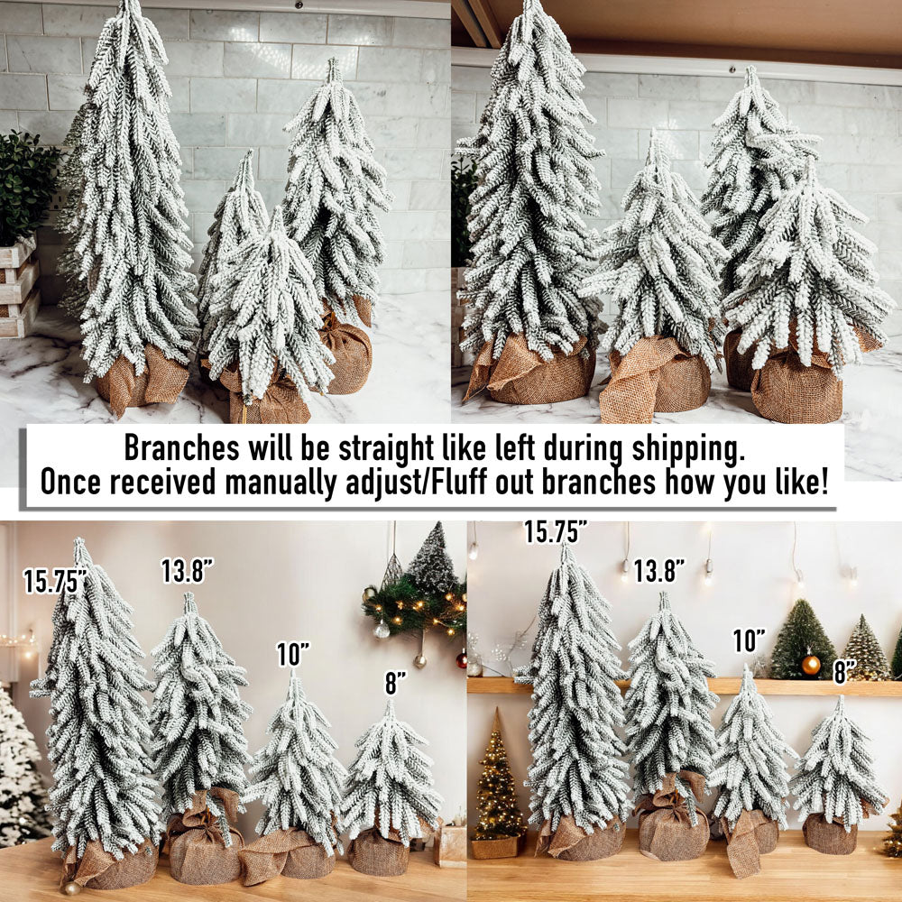 Snow Trees